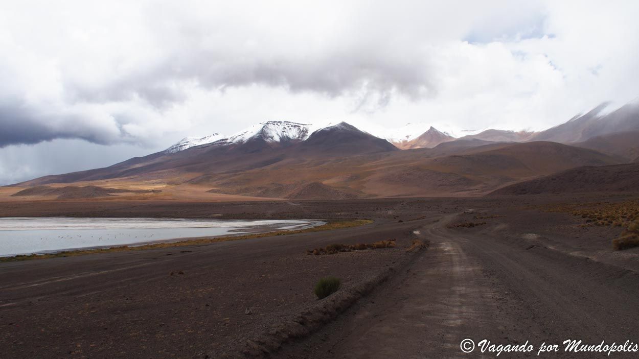 laguna-cañapa-bolivia
