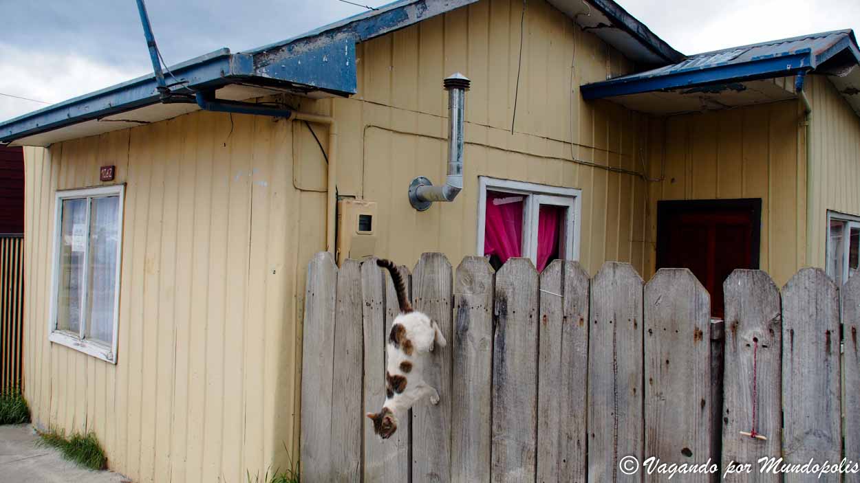 que-ver-en-puerto-natales-barrio-25-octubre