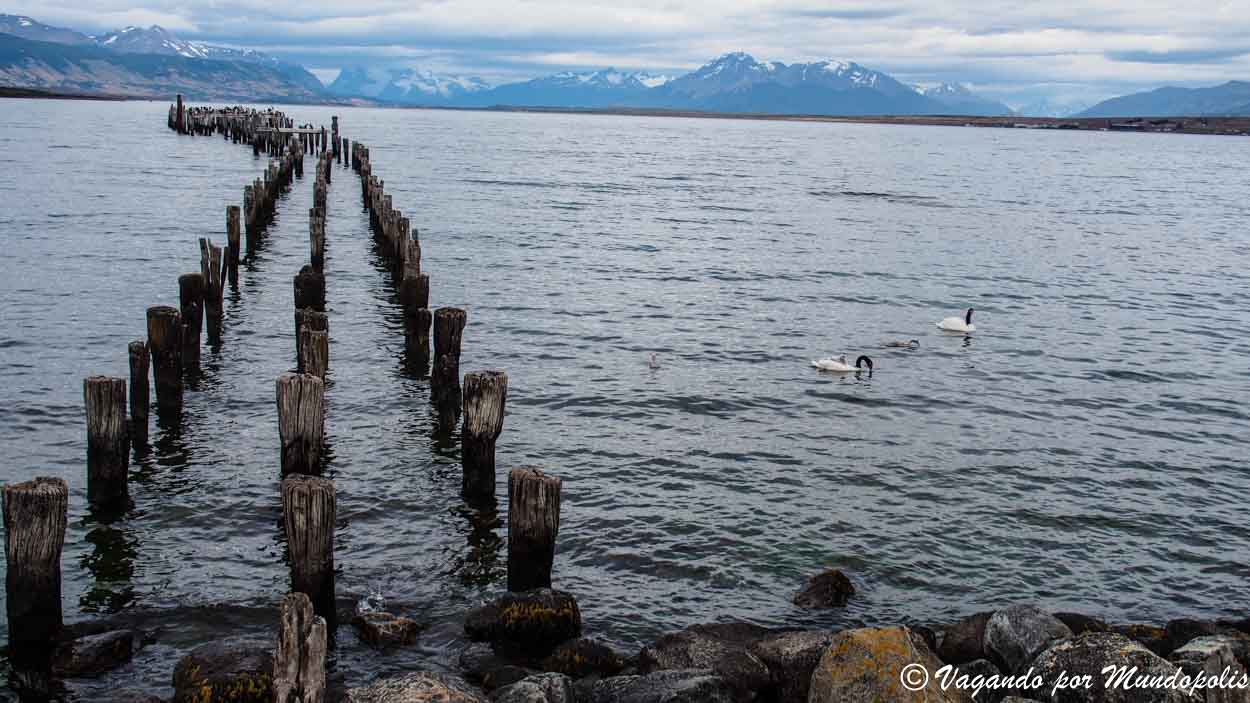 que-ver-en-puerto-natales-muelle-braun-blanchard