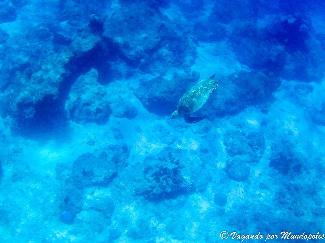 Gili-Meno