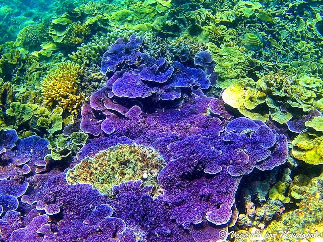 Gili-Meno Gili-Meno