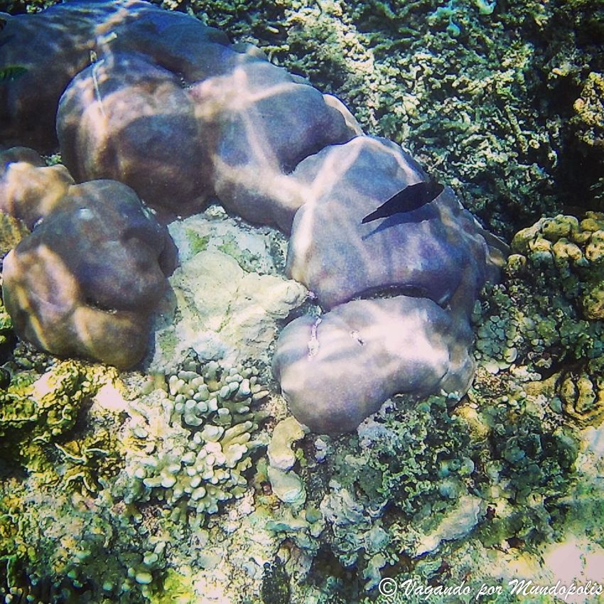 Gili-Meno Gili-Meno