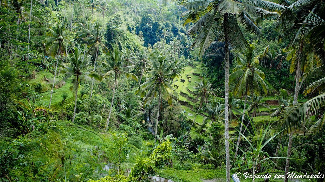 Pura-Gungung-Kawi