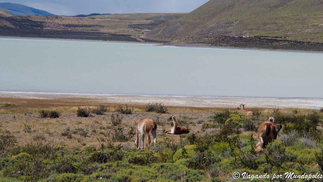 lago-sarmiento-torres-del-paine