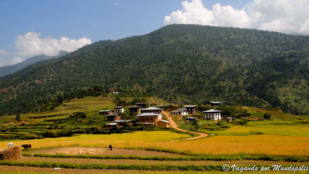 Monasterio-Chimi-Lhakhang-Bhutan
