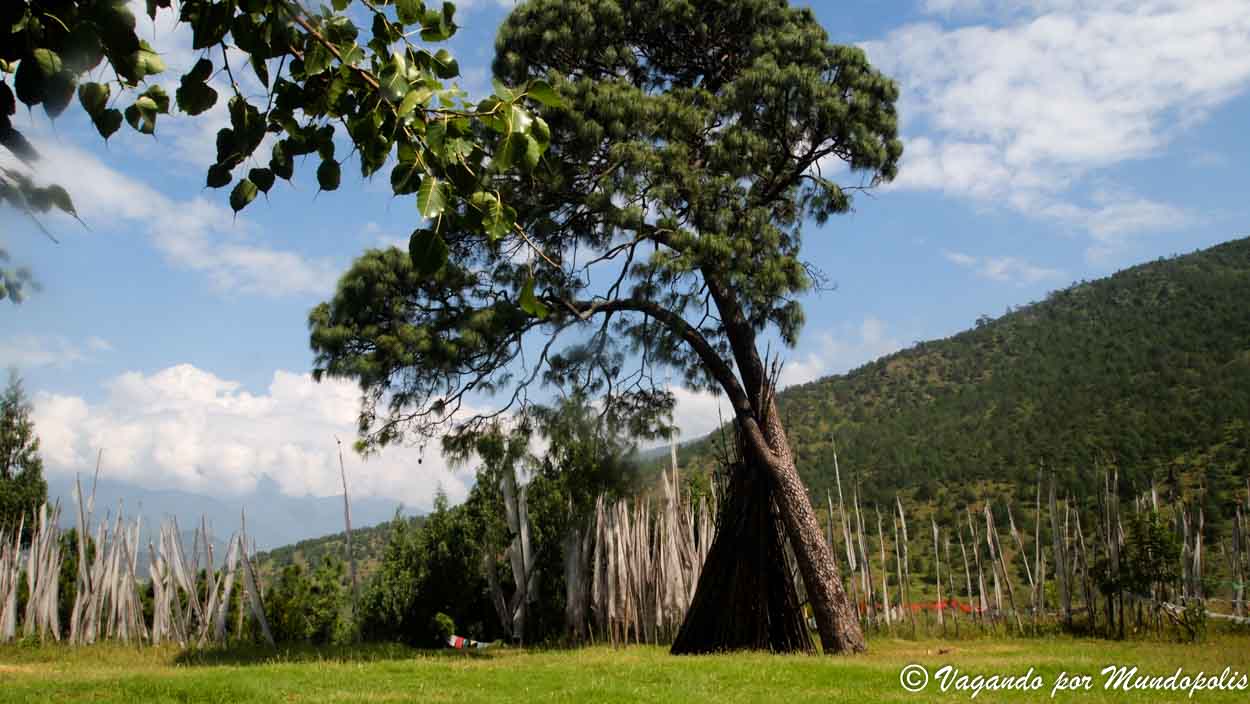 Monasterio-Chimi-Lhakhang-Bhutan