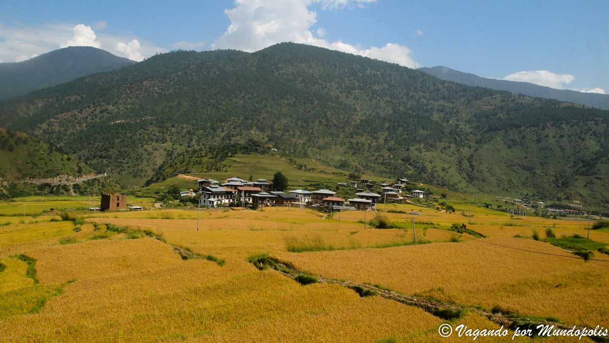 Lobeysa-Bhutan