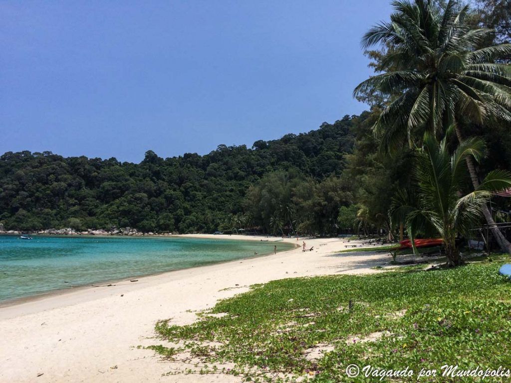 PIR-beach