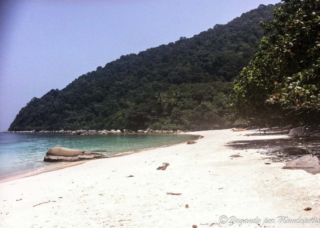 turtel-beach-besar