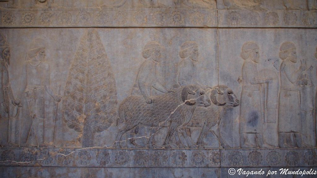 que-ver-en-persepolis