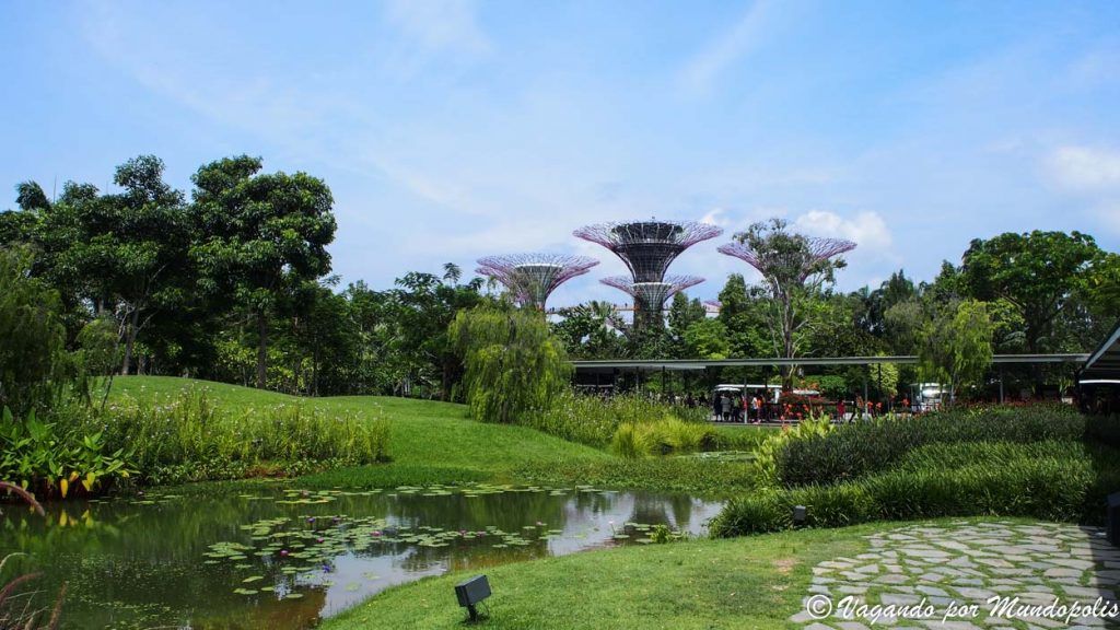 gardens-by-the-bay