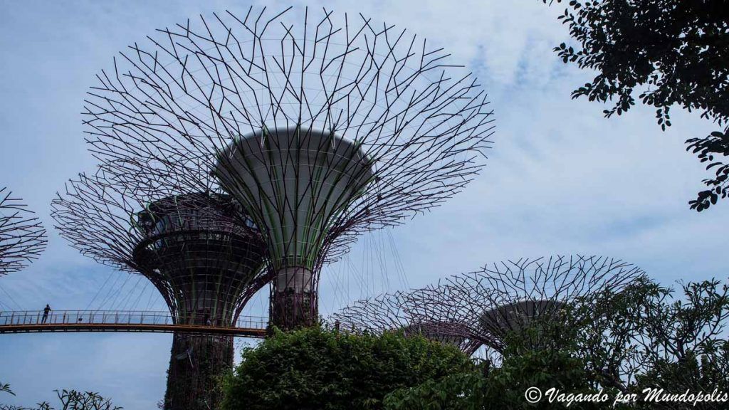 que-hacer-en-singapur