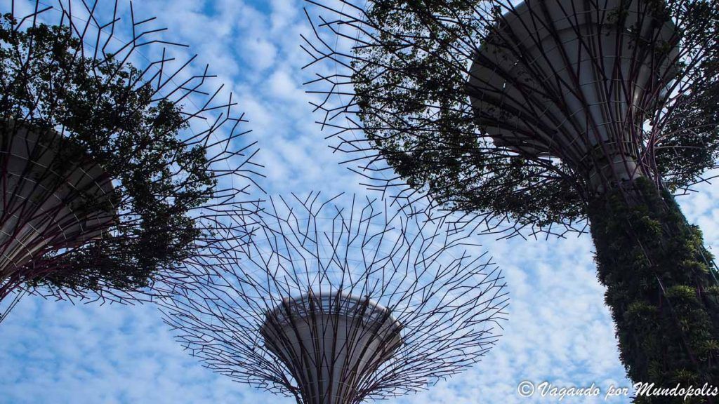 que-hacer-en-singapur