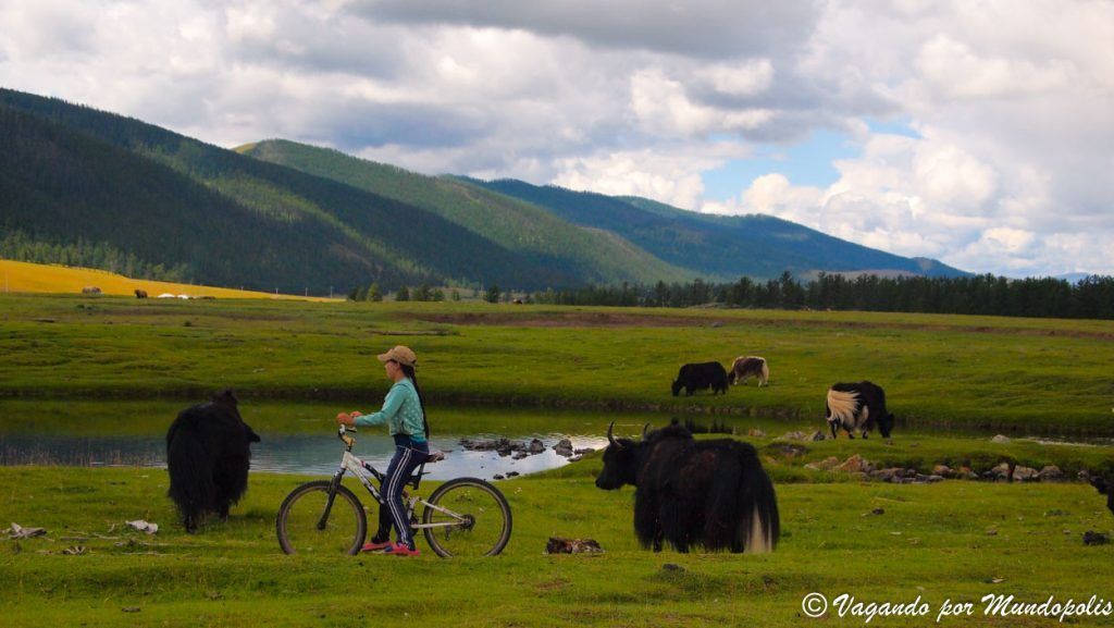 que-ver-en-mongolia-tsenkher
