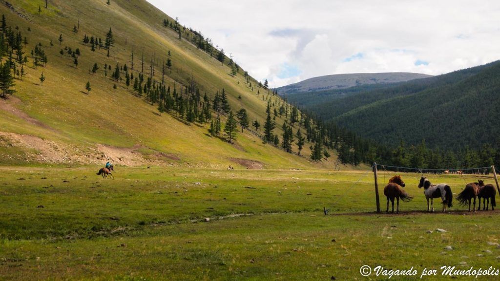 mongolia-central