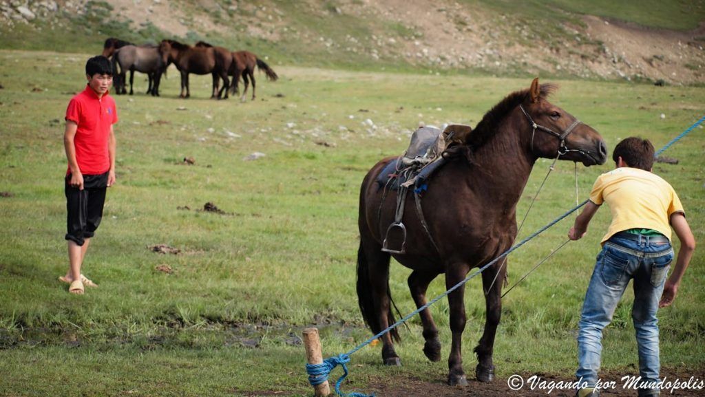 que-ver-en-mongolia-tsenkher
