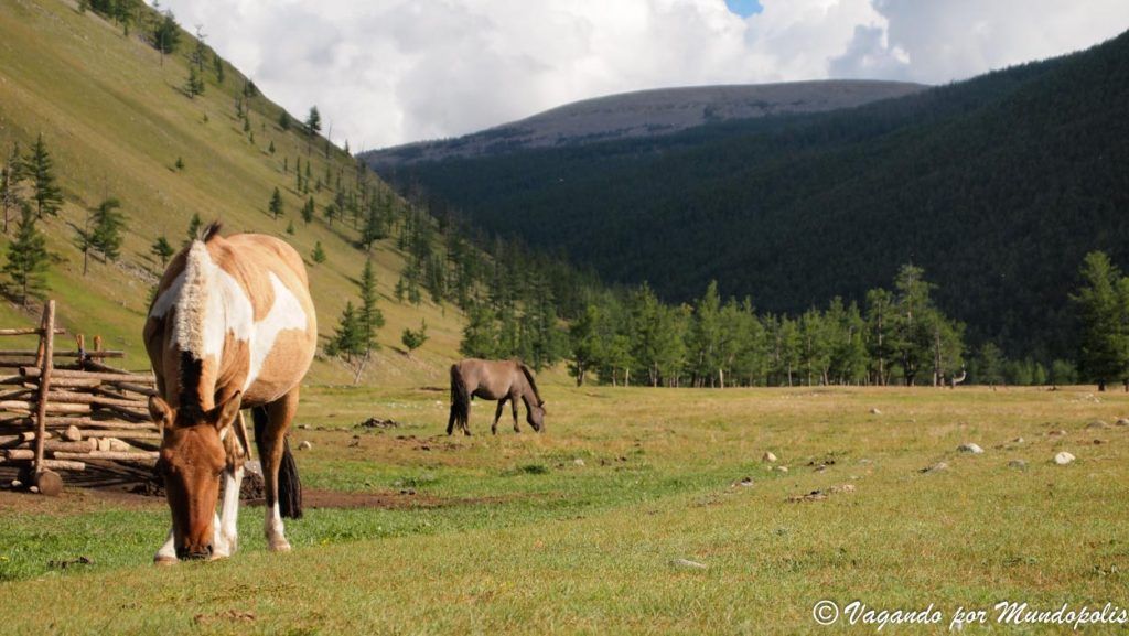 que-ver-en-mongolia-tsenkher