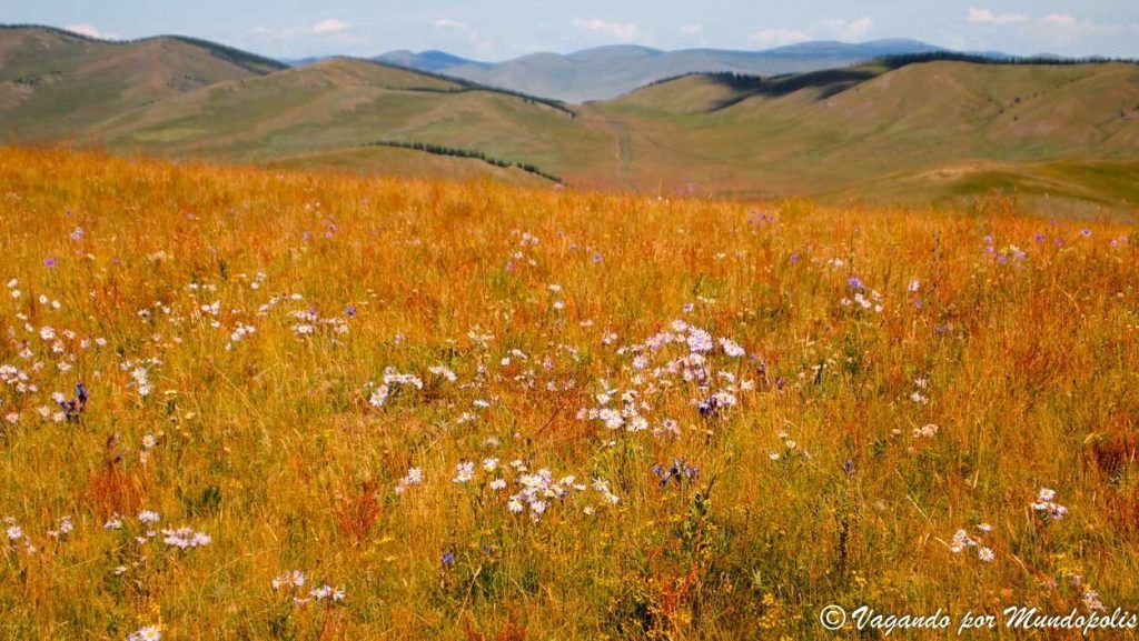 que-ver-en-mongolia-tsenkher