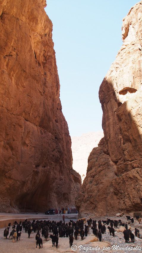 gargantas-todra-marruecos