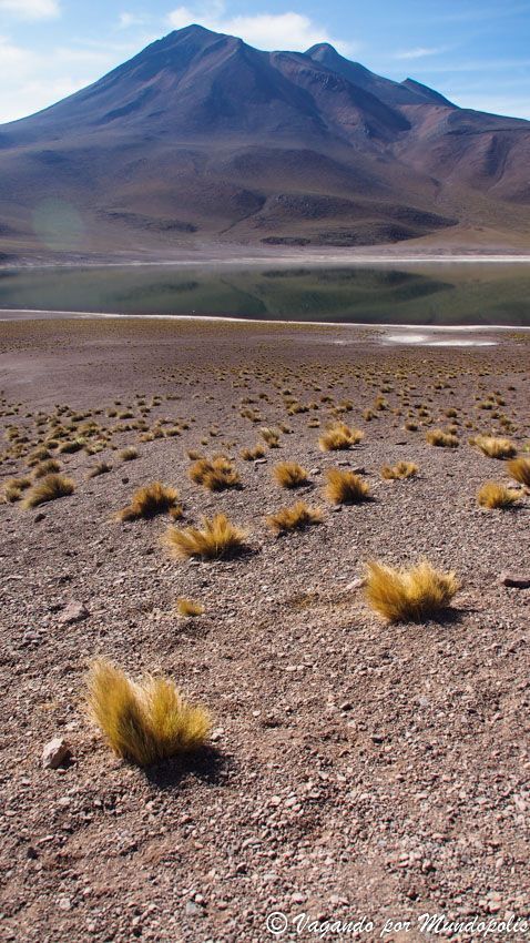 mejores-excursiones-san-pedro-atacama