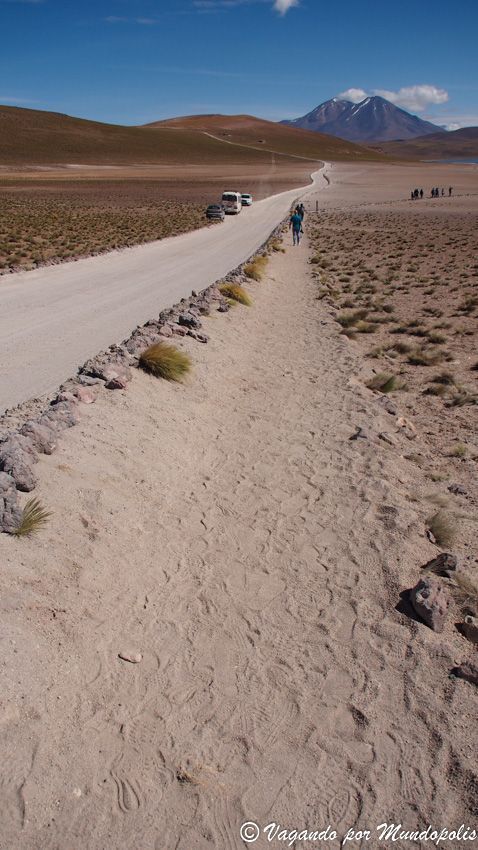 excursiones-san-pedro-atacama-lagunas-antiplanicas