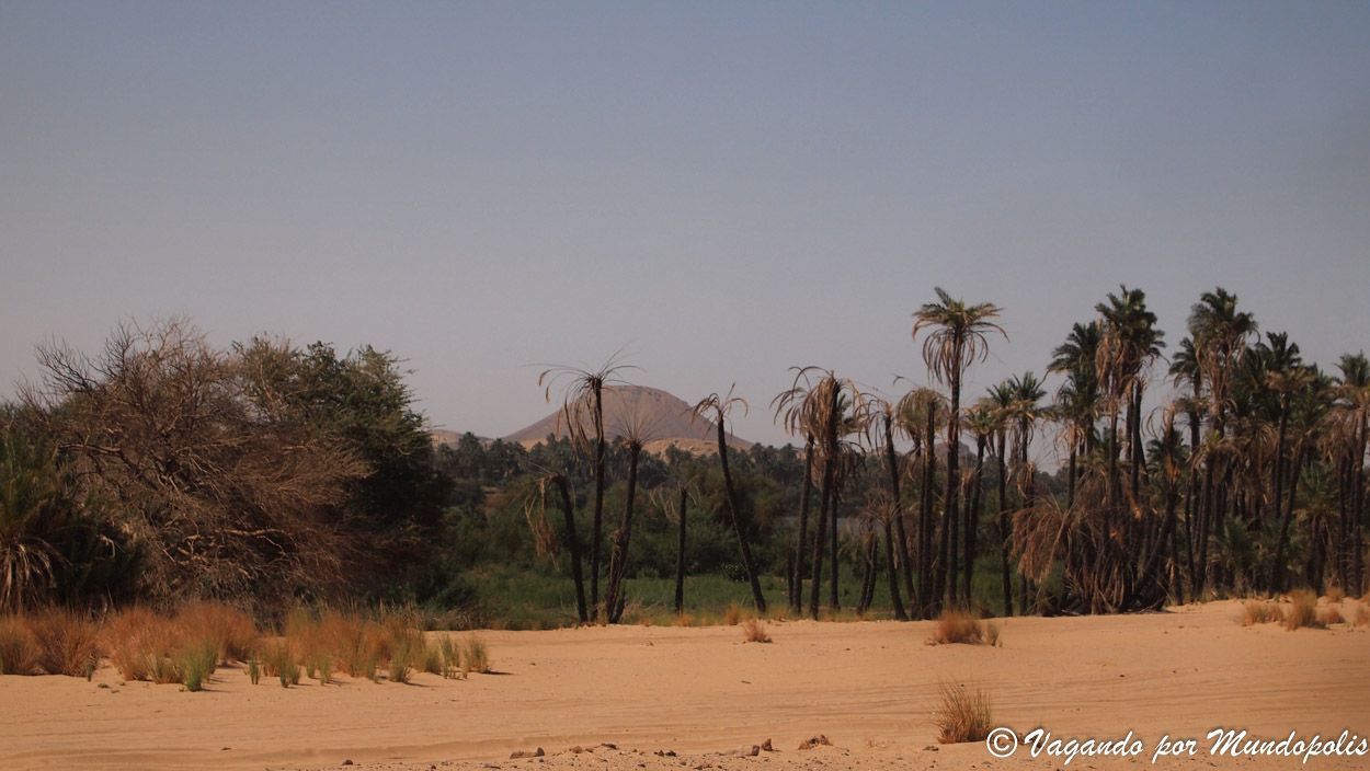 sabu-jaddi-sudan