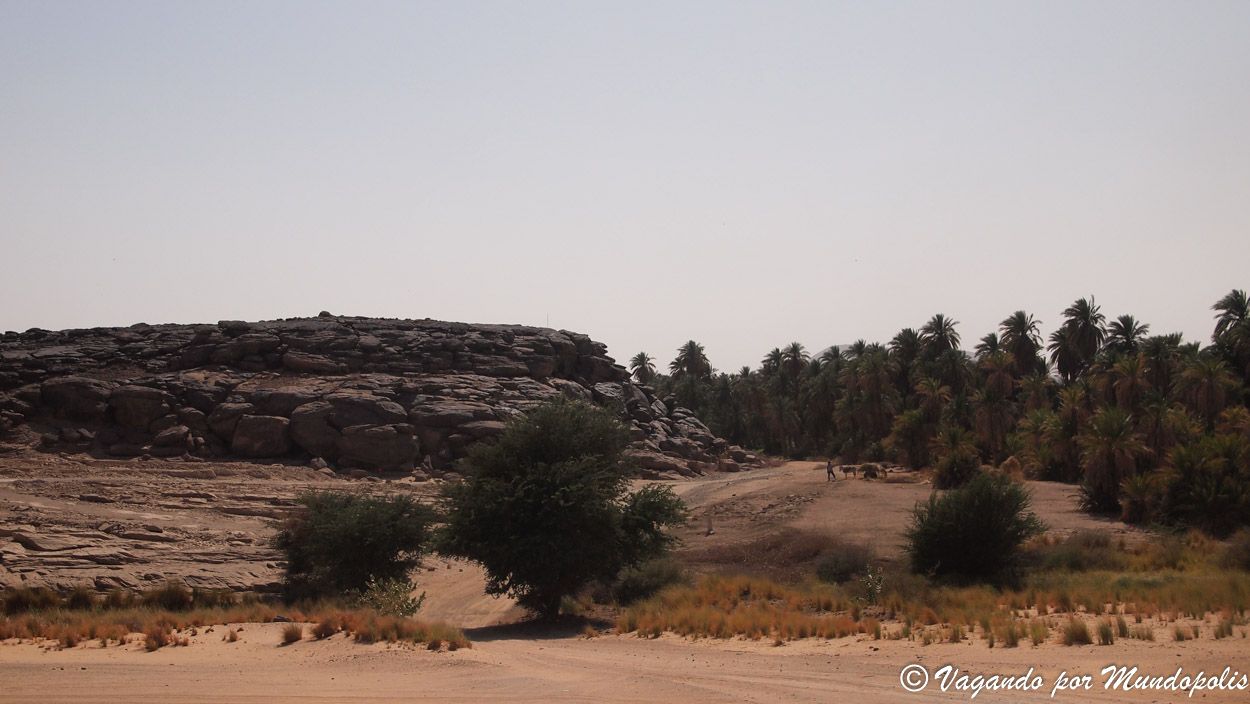 sabu-jaddi-sudan