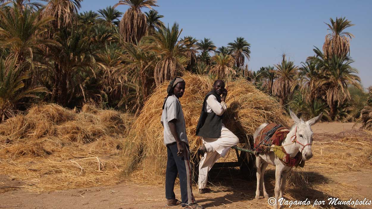 sabu-jaddi-sudan