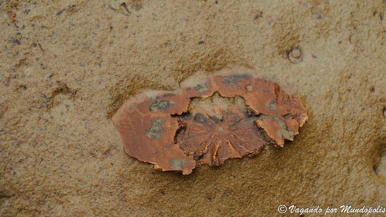 yehliu-geopark-taiwan