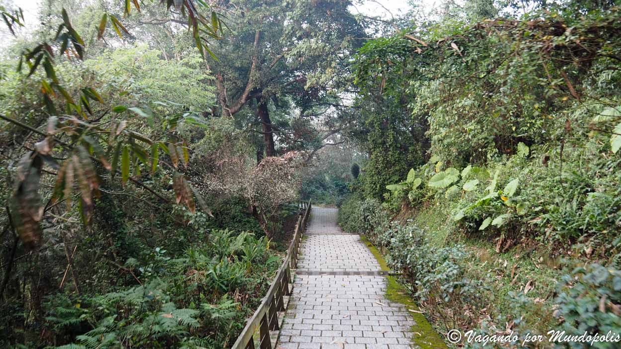 que-hacer-en-soon-moon-lake-taiwan