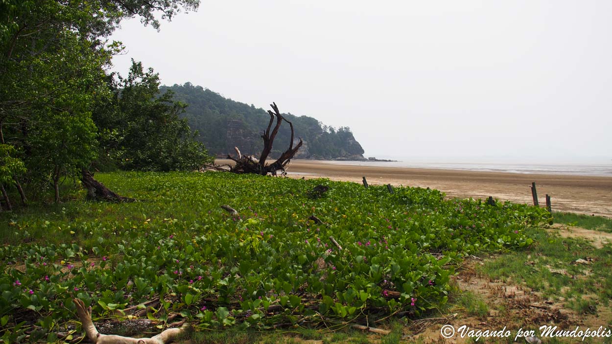 parque-nacional-de-bako