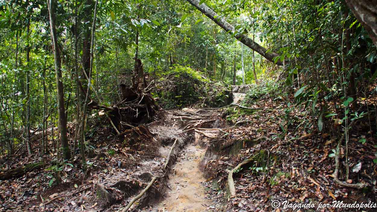 parque-nacional-de-bako