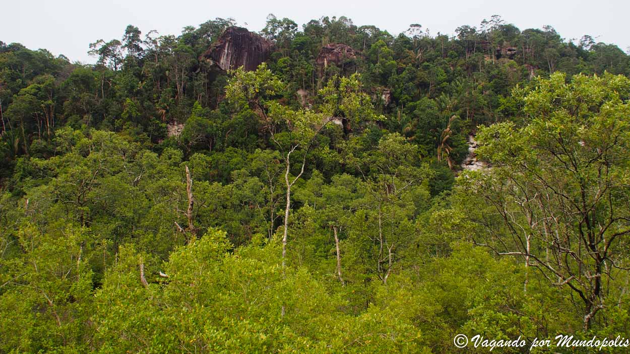 parque-nacional-de-bako-borneo