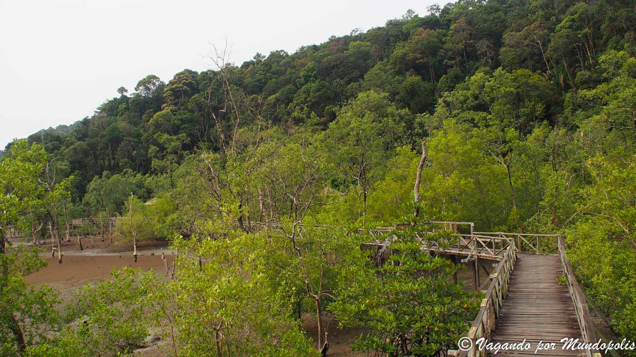 parque-nacional-de-bako-borneo
