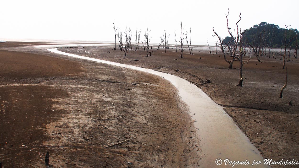 senderos-parque-nacional-de-bako