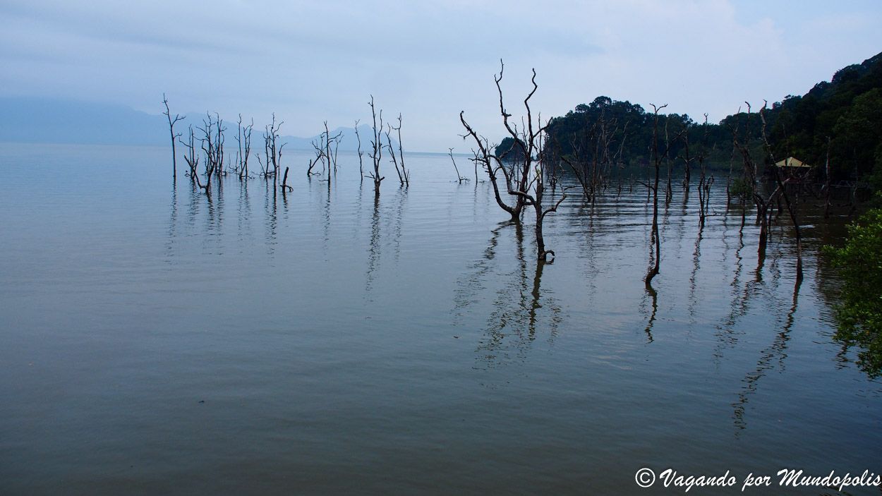parque-nacional-de-bako-borneo
