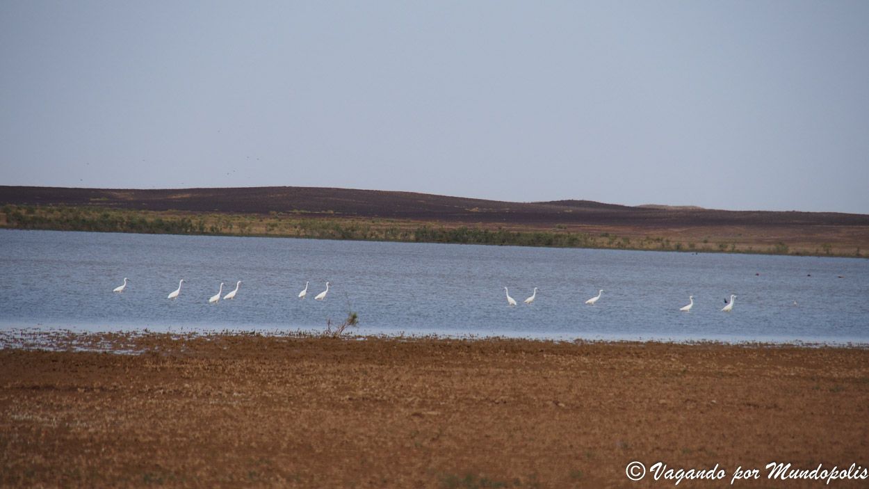 lago-de-los-flamencos-merzouga