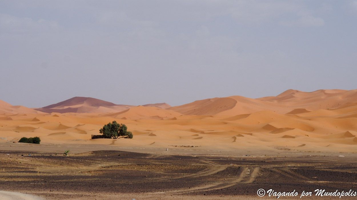 erg-chebbi-marruecos