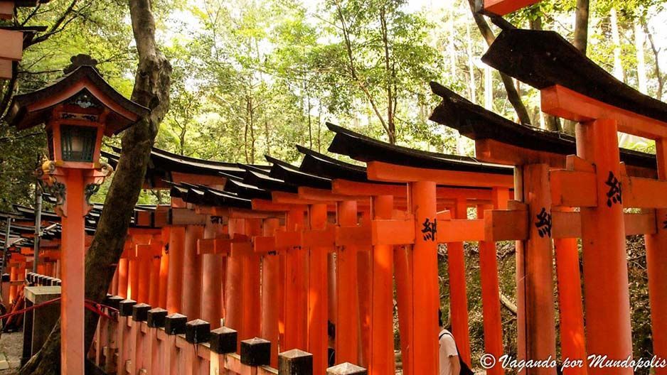 excursion-fushimi-inari-taisha