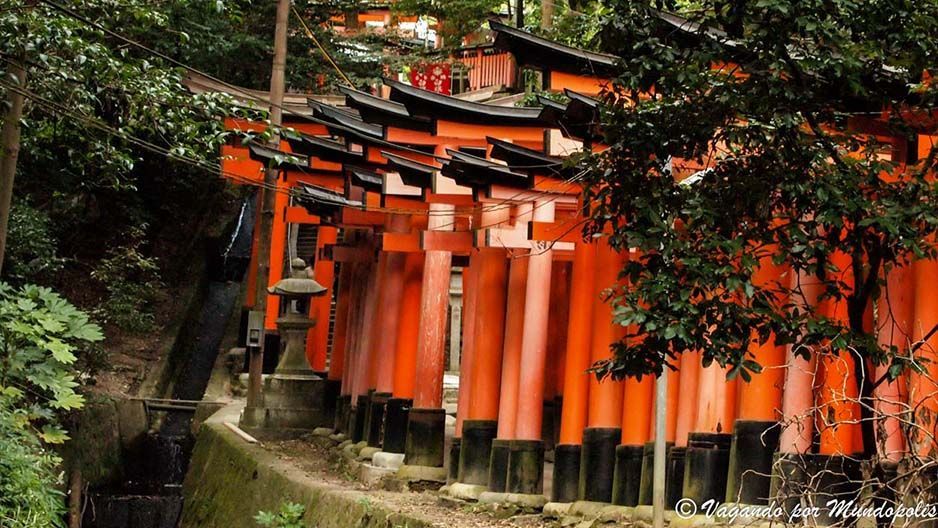 excursión -fushimi-inari-tahisa