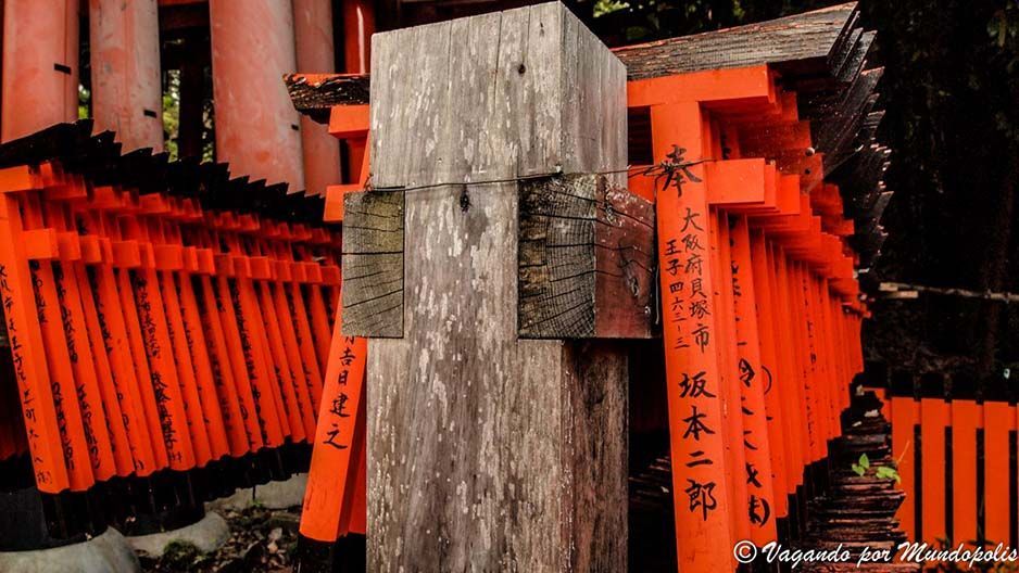 torii-fushimi-inari