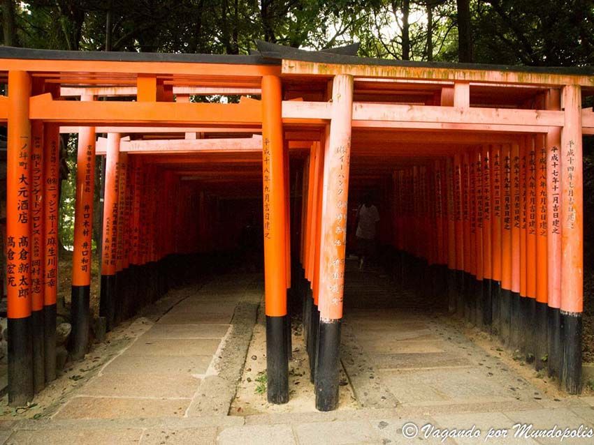 toriis-en-fushimi-inari