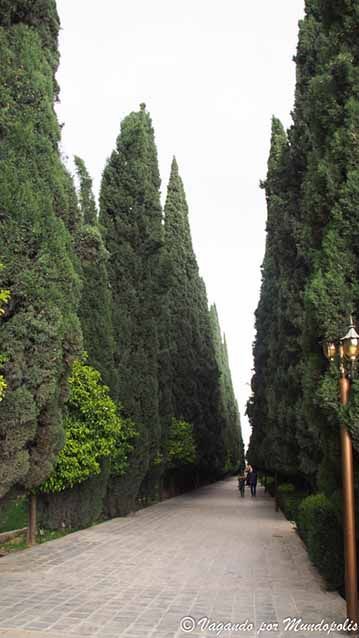 jardin-eram-shiraz