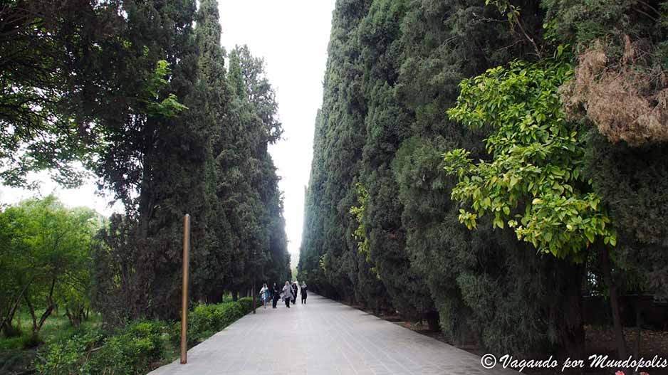 jardin-eram-que-ver-en-shiraz
