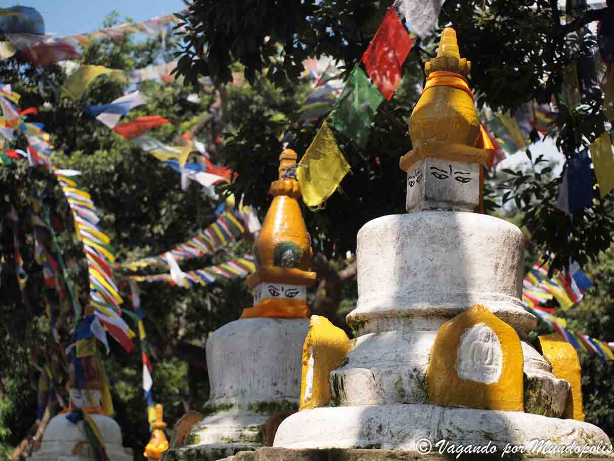 templo-de-los-monos-kathmandu