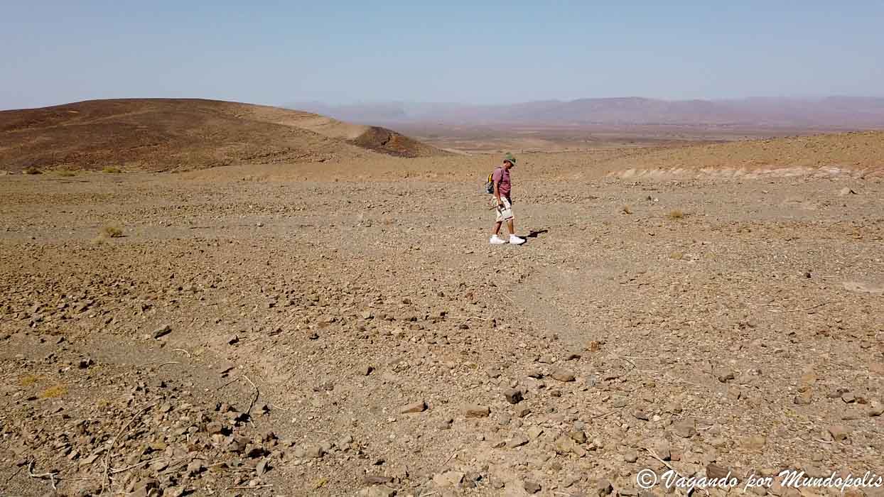 fosiles-alnif-marruecos