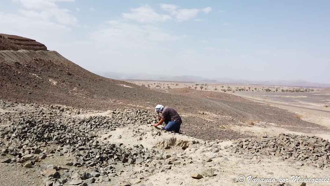 fosiles-alnif-marruecos