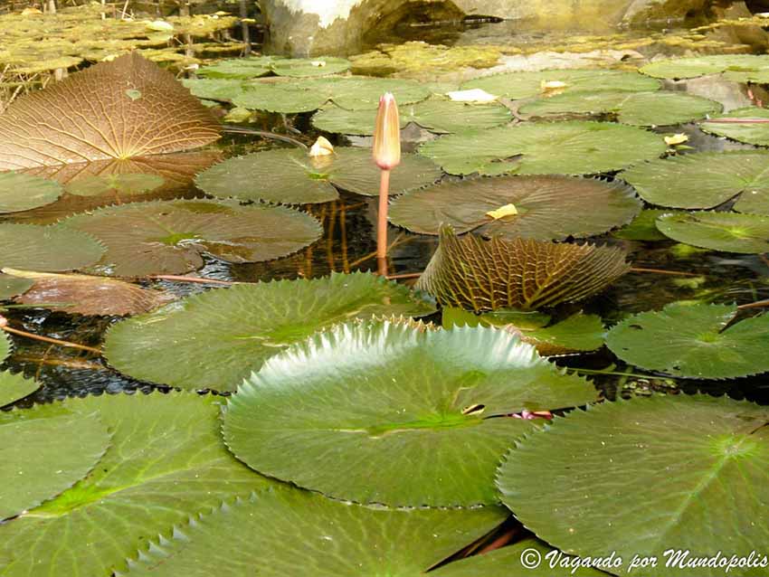 pagoda-perfume-vietnam