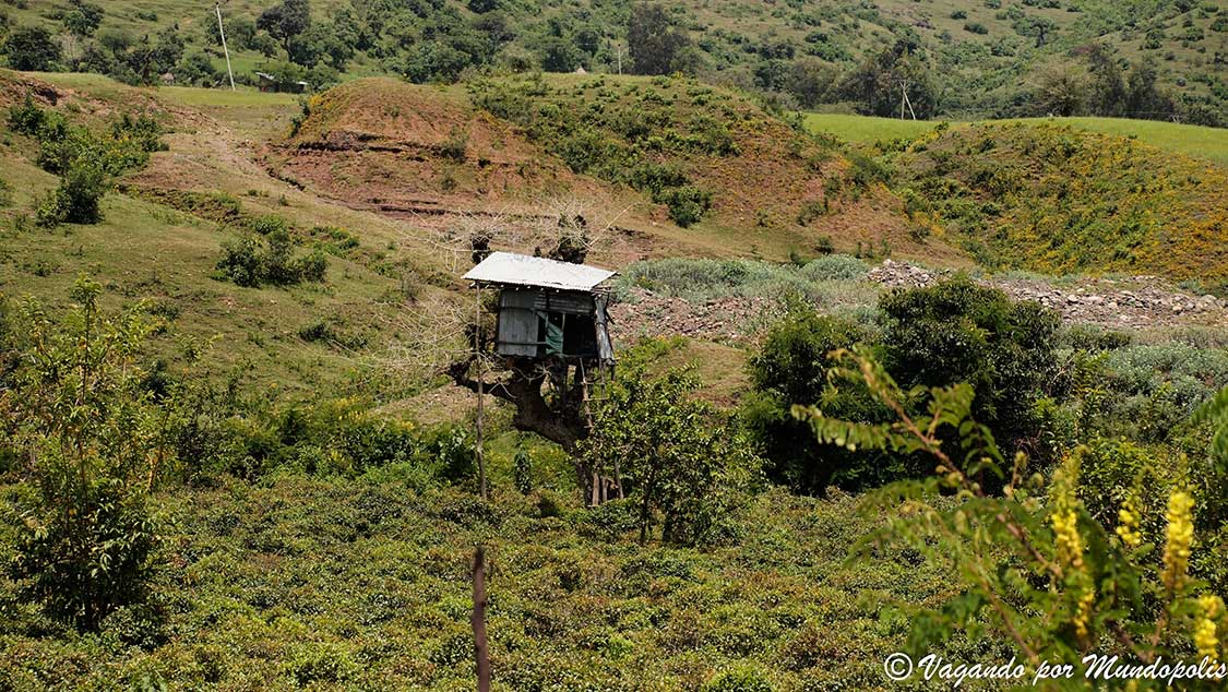 que-ver-en-gondar-etiopia
