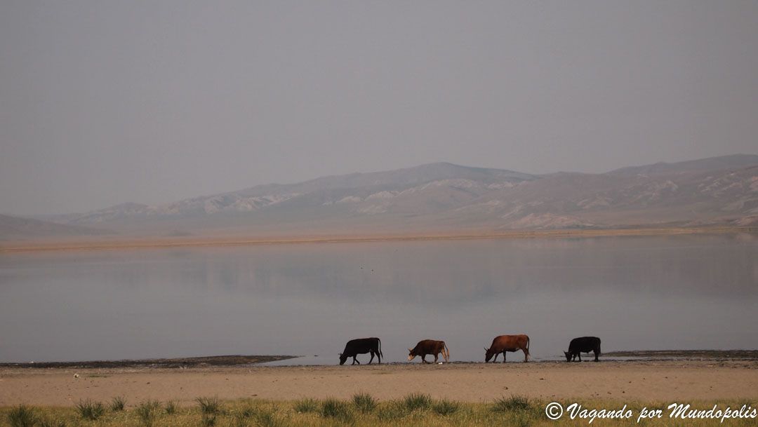 Erkhe-Lake-mongolia